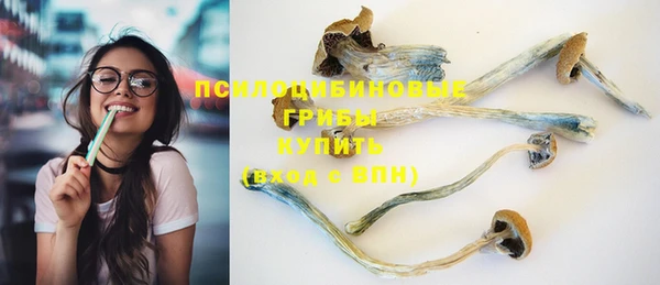 хмурый Абинск